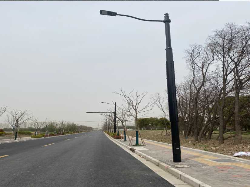 康马县上海综合杆 太阳能路灯工程
